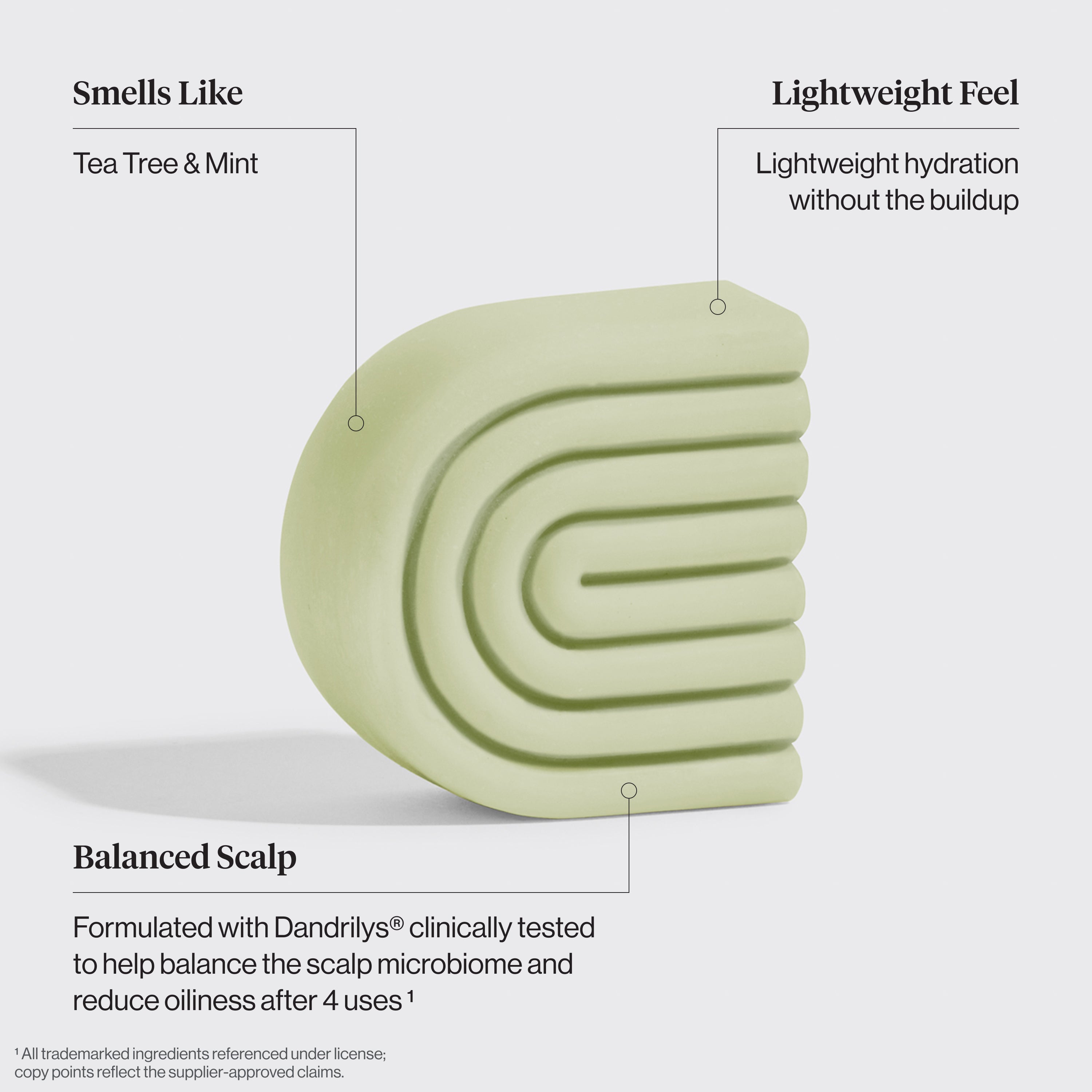 Tea Tree & Mint Clarifying Shampoo & Conditioner Bar Combo