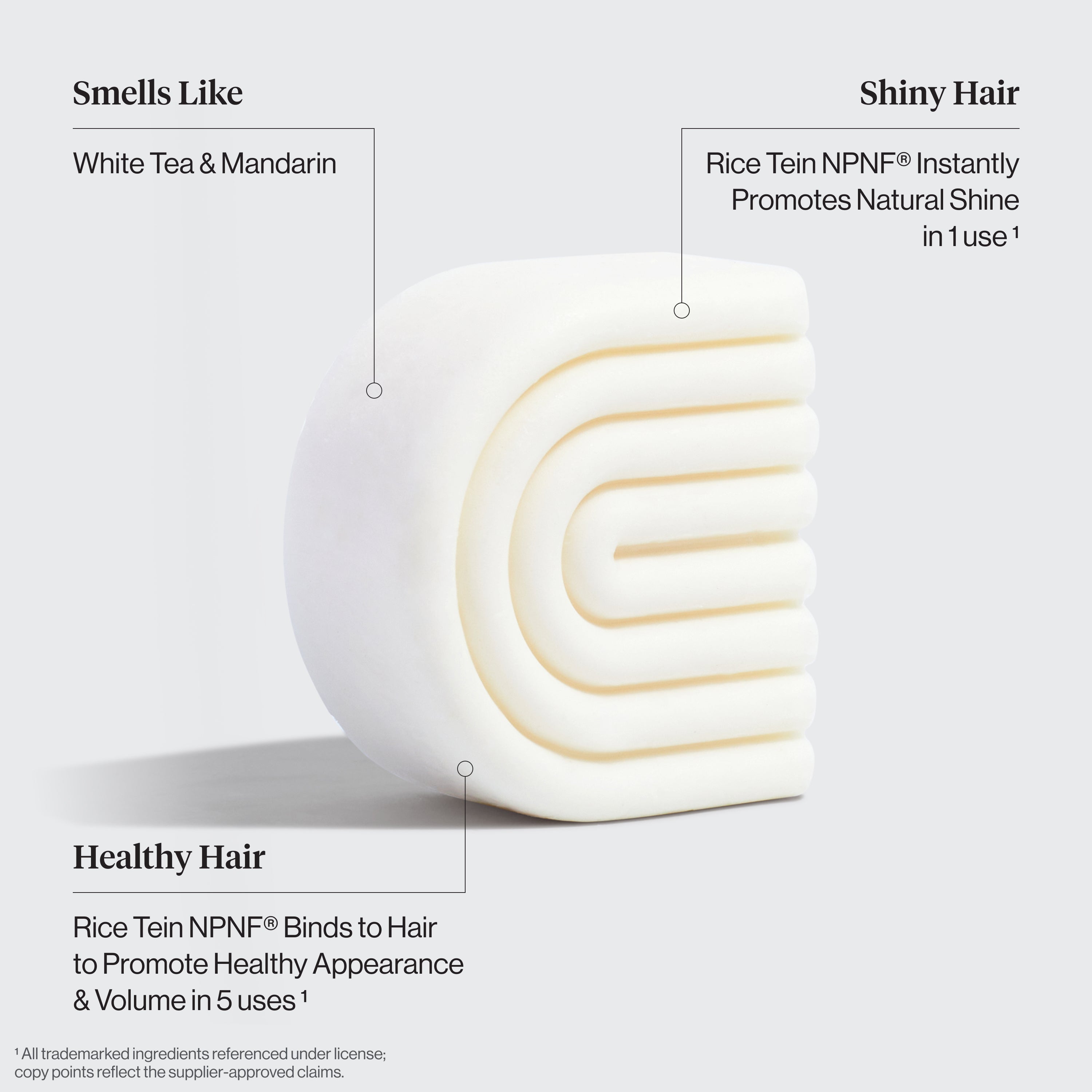 Winter Welcome Kit Rice Water Shampoo & Conditioner Bar Combo for Hair Growth